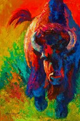 Marion Rose Straight Forward Introduction - Bison