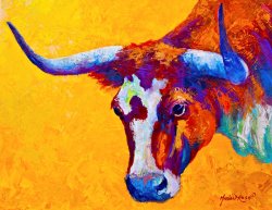 Marion Rose Texas Longhorn Cow Study