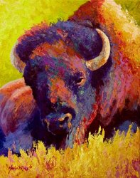 Marion Rose Timeless Spirit - Bison