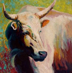 Marion Rose White Bull Portrait