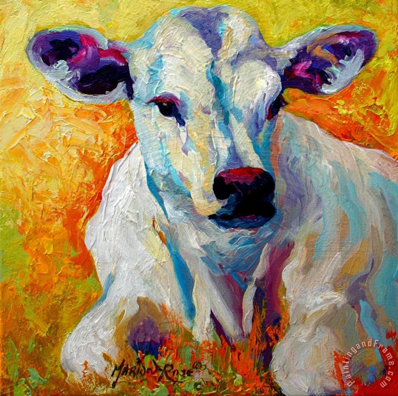 White Calf painting - Marion Rose White Calf Art Print