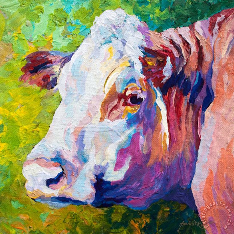 White Face Cow painting - Marion Rose White Face Cow Art Print