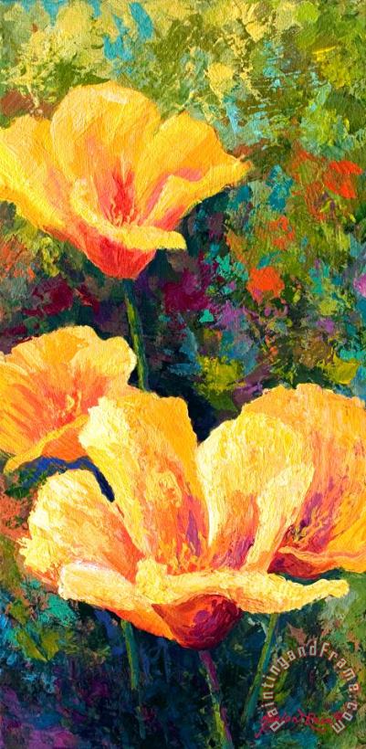 Yellow Field poppies painting - Marion Rose Yellow Field poppies Art Print