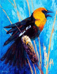 Marion Rose Yellow Headed Blackbird