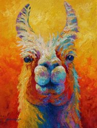 Marion Rose You Lookin At Me