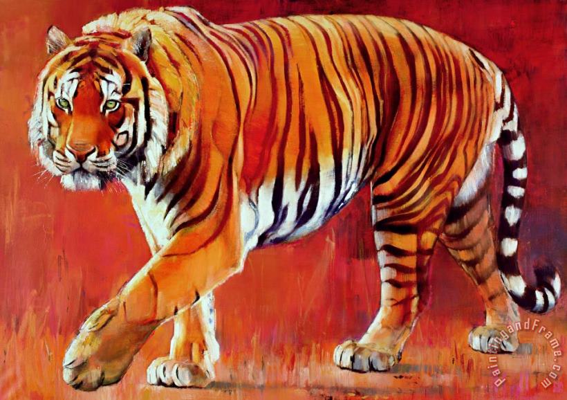 Bengal Tiger painting - Mark Adlington Bengal Tiger Art Print