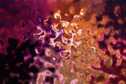 Mark Lawrence Be Humble. Romans 12 16