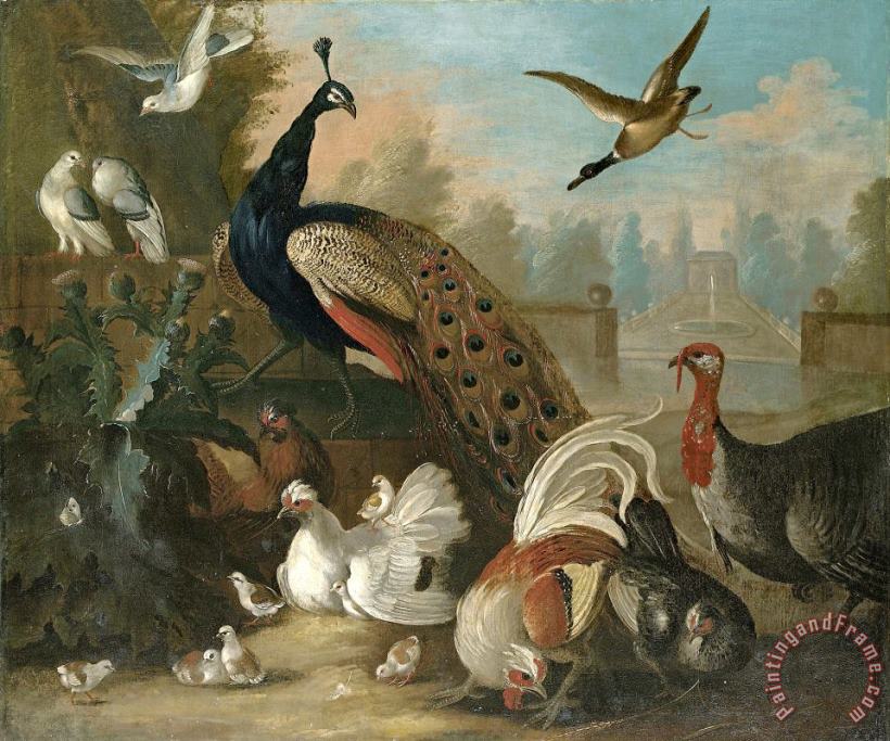 Marmaduke Craddock A Peacock And Other Birds Art Painting