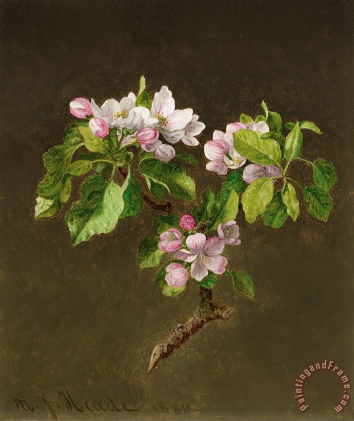 Martin Johnson Heade A Branch of Apple Blossoms, 1880 Art Painting