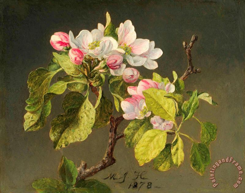 Martin Johnson Heade A Branch of Apple Blossoms And Buds Art Print