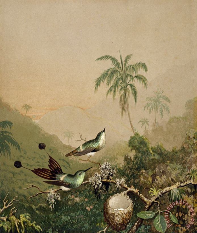 Brazilian Hummingbirds II painting - Martin Johnson Heade Brazilian Hummingbirds II Art Print