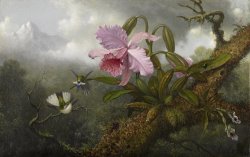 Martin Johnson Heade Cattleya Orchid, Two Hummingbirds, And a Beetle