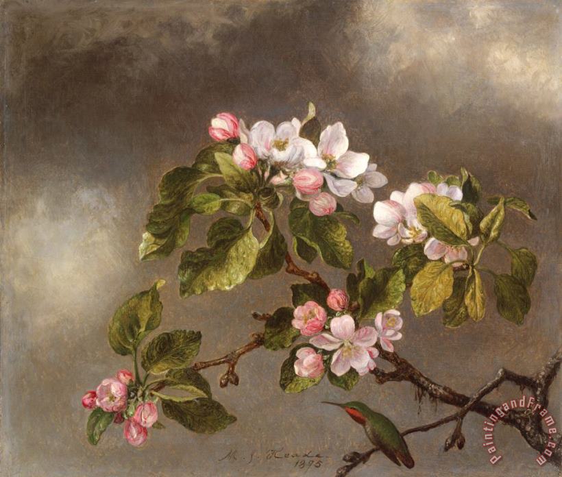Martin Johnson Heade Hummingbird And Apple Blossoms Art Print