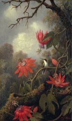 Martin Johnson Heade - hummingbird and passion flowers painting