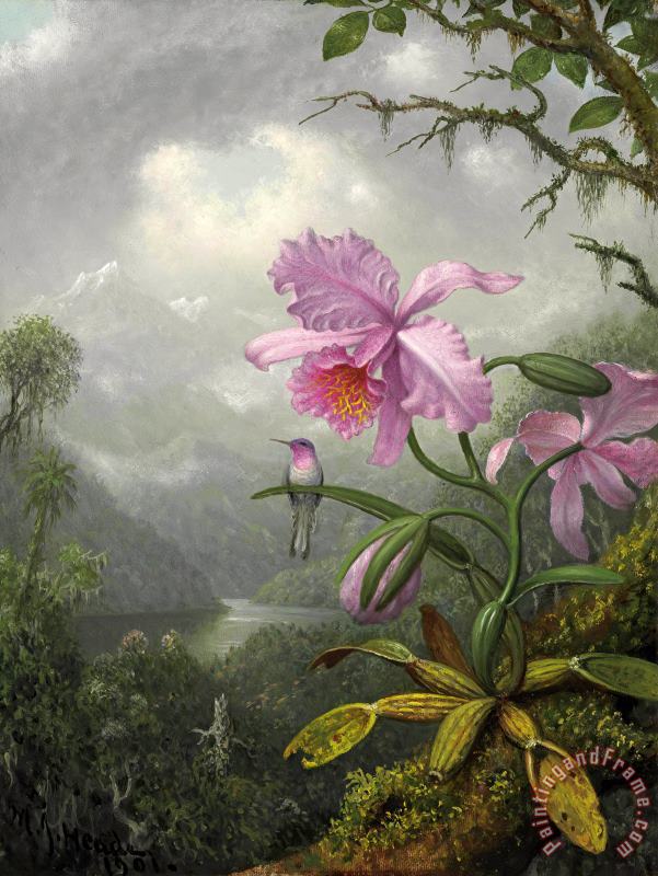 Hummingbird Perched on The Orchid Plant painting - Martin Johnson Heade Hummingbird Perched on The Orchid Plant Art Print