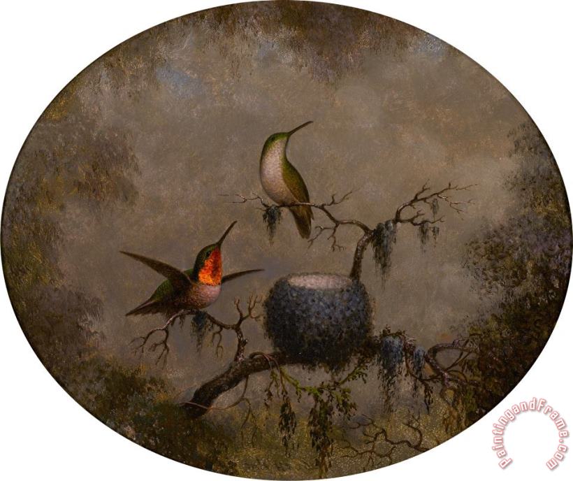 Martin Johnson Heade Hummingbirds And Their Nest Art Painting