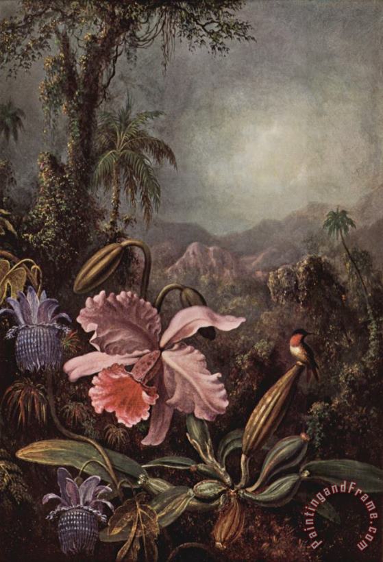 Orchideen, Passionsblumen Und Kolibris painting - Martin Johnson Heade Orchideen, Passionsblumen Und Kolibris Art Print