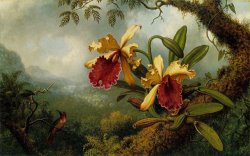 Martin Johnson Heade - Orchids And Hummingbird painting