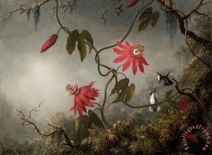 Martin Johnson Heade Passion Flowers And Hummingbirds Art Print