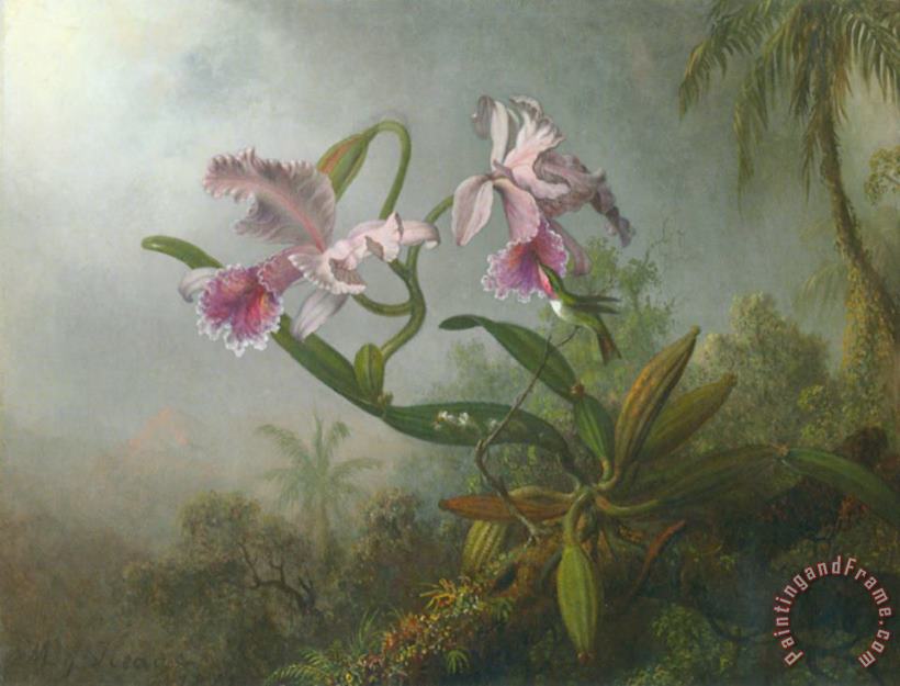Martin Johnson Heade Pink Orchids And Hummingbird on a Twig Art Print