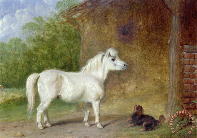 A Shetland pony and a King Charles spaniel painting - Martin Theodore Ward A Shetland pony and a King Charles spaniel Art Print