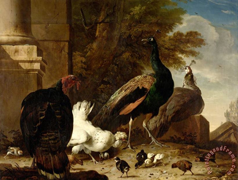 Melchior de Hondecoeter A Hen with Peacocks And a Turkey Art Painting