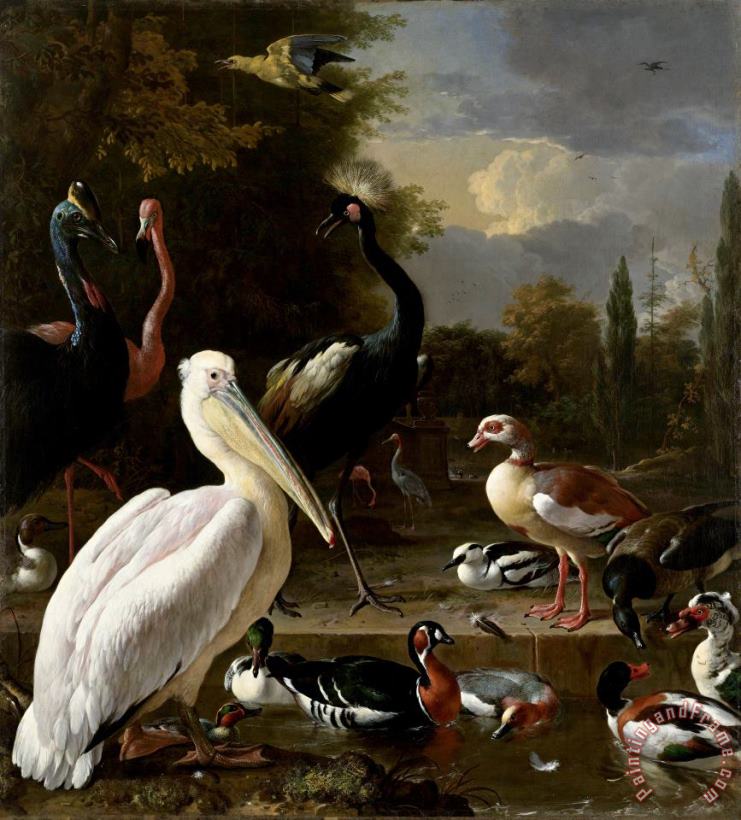 A Pelican And Other Birds Near a Pool, Known As 'the Floating Feather' painting - Melchior de Hondecoeter A Pelican And Other Birds Near a Pool, Known As 'the Floating Feather' Art Print