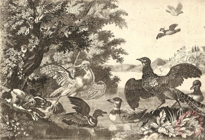 Watervogels En Een Hond painting - Melchior de Hondecoeter Watervogels En Een Hond Art Print