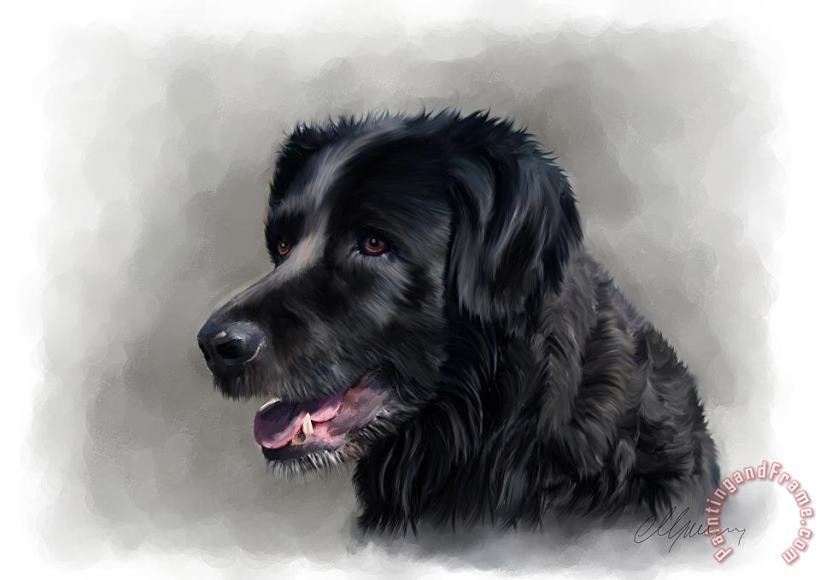 Dog Portrait painting - Michael Greenaway Dog Portrait Art Print