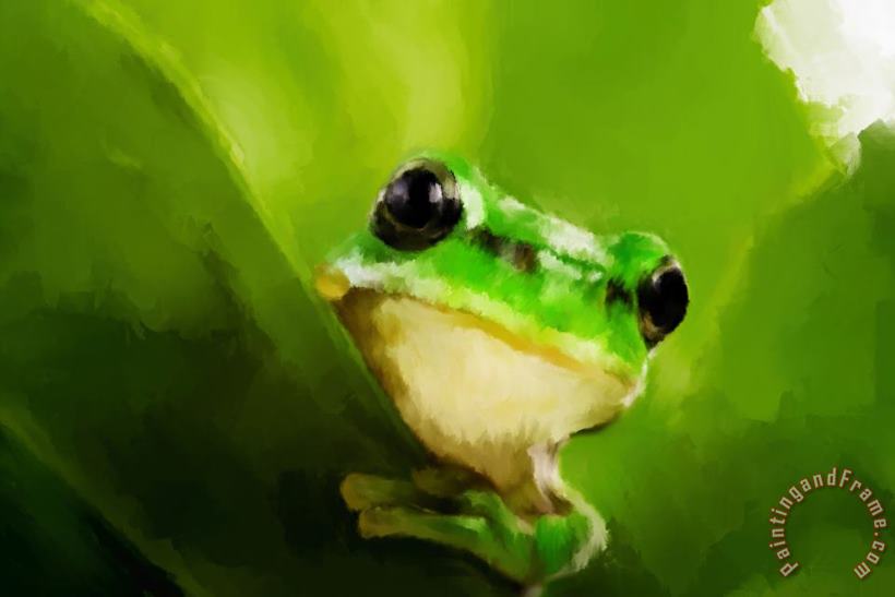 Frog painting - Michael Greenaway Frog Art Print