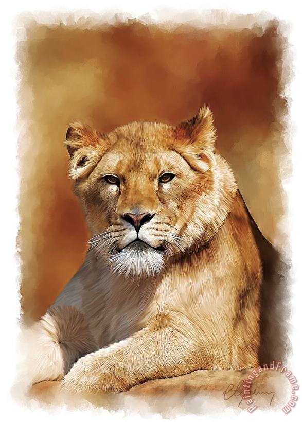 Lioness Portrait painting - Michael Greenaway Lioness Portrait Art Print