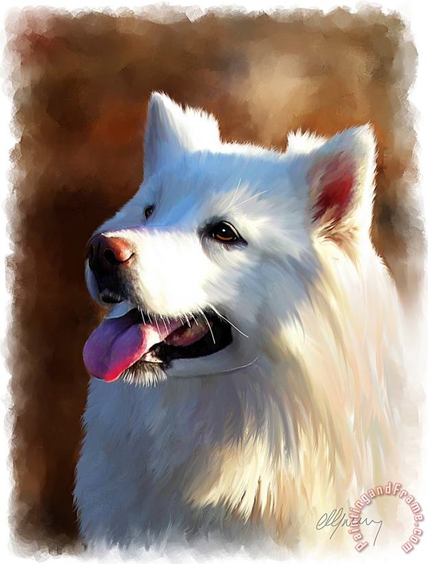 Samoyed Polar Dog Portrait painting - Michael Greenaway Samoyed Polar Dog Portrait Art Print