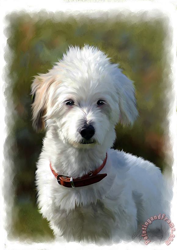 Terrier Dog Portrait painting - Michael Greenaway Terrier Dog Portrait Art Print