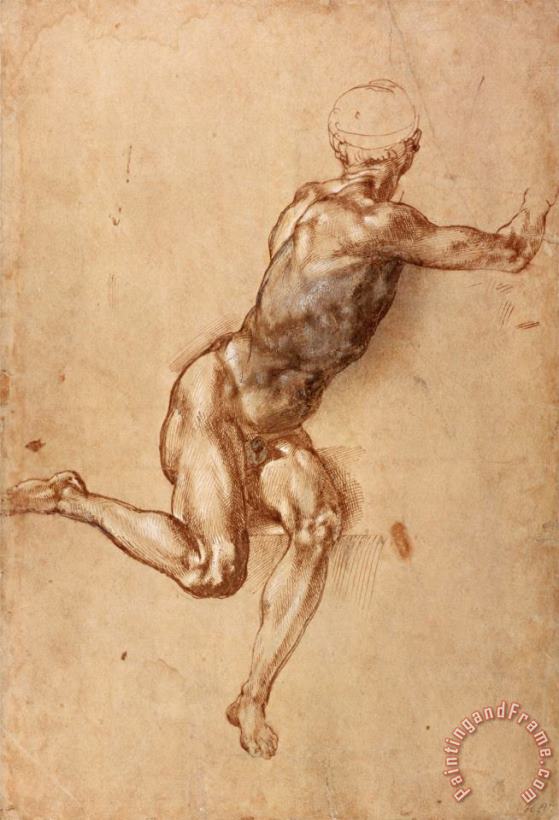 A Seated Male Nude Twisting Around C 1505 painting - Michelangelo Buonarroti A Seated Male Nude Twisting Around C 1505 Art Print