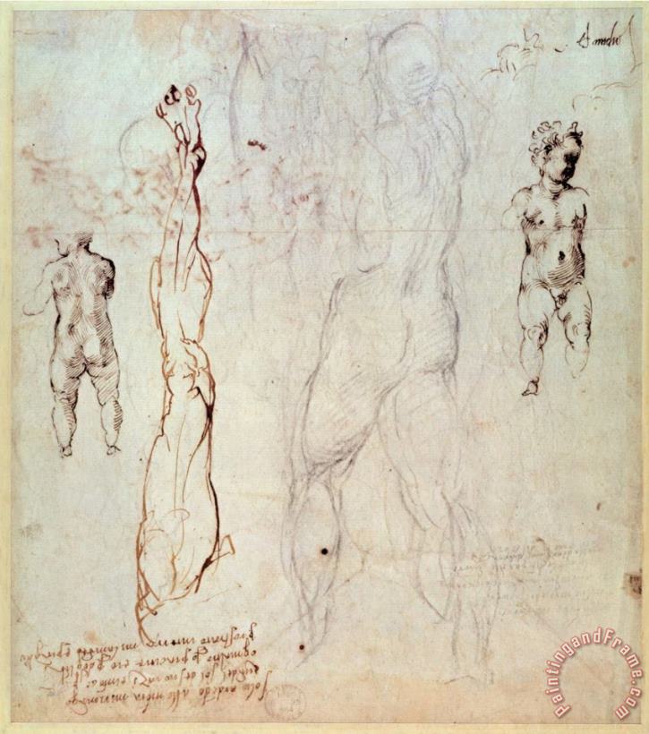 Anatomical Drawings with Accompanying Notes painting - Michelangelo Buonarroti Anatomical Drawings with Accompanying Notes Art Print