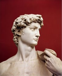 Michelangelo Buonarroti David 1501 04