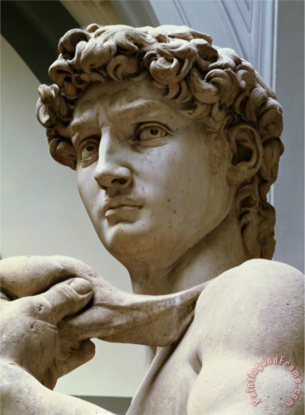 David Detail of The Head 1504 painting - Michelangelo Buonarroti David Detail of The Head 1504 Art Print