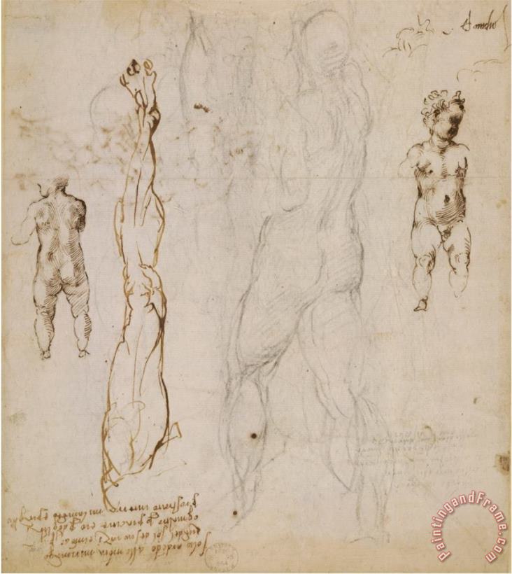 Michelangelo Buonarroti Michelangelo Eight Studies of Nude Children Art Print
