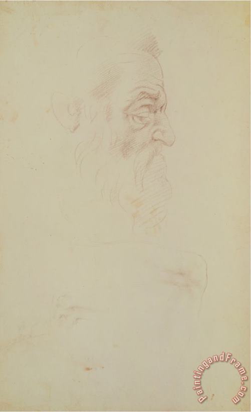 Michelangelo Buonarroti Sketch of a Male Head And Two Legs Art Painting