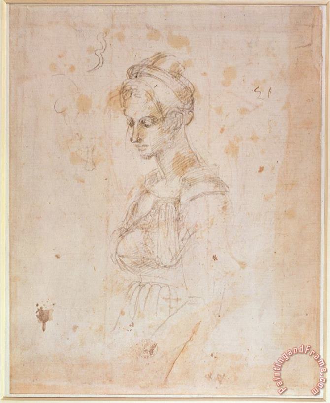 Sketch of a Woman painting - Michelangelo Buonarroti Sketch of a Woman Art Print