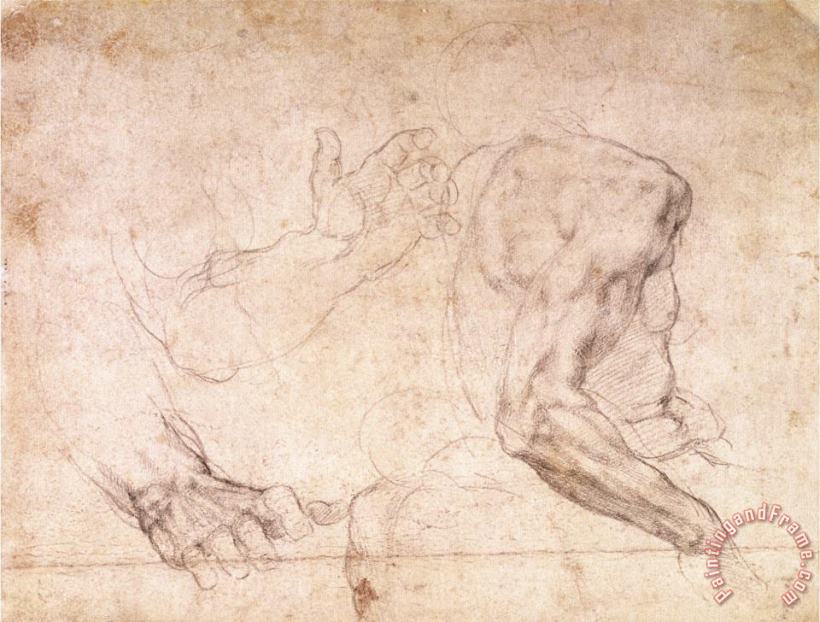 Studies of Hands And an Arm painting - Michelangelo Buonarroti Studies of Hands And an Arm Art Print
