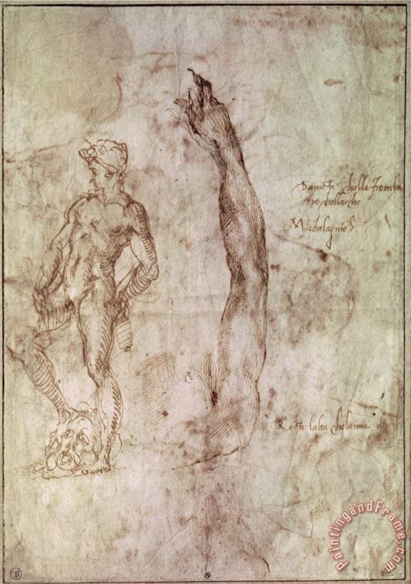 Study for David painting - Michelangelo Buonarroti Study for David Art Print
