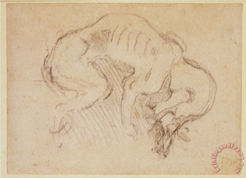 Michelangelo Buonarroti Study of a Dog Art Painting