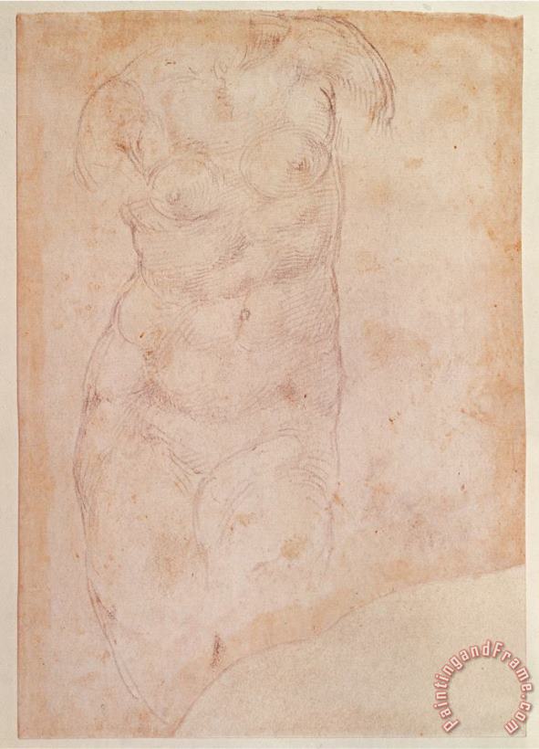 Study of a Female Nude Black Chalk on Paper painting - Michelangelo Buonarroti Study of a Female Nude Black Chalk on Paper Art Print