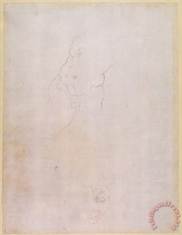 Michelangelo Buonarroti Study of a Male Torso Pencil on Paper Verso for Recto See 192512 Art Print