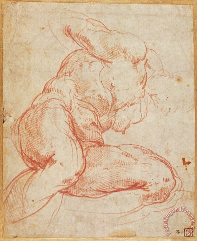 Study of a Nude Red Chalk on Paper painting - Michelangelo Buonarroti Study of a Nude Red Chalk on Paper Art Print