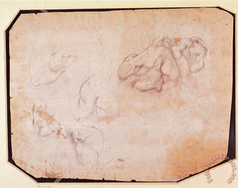 Study of Muscles Pencil on Paper Verso for Recto See 191769 painting - Michelangelo Buonarroti Study of Muscles Pencil on Paper Verso for Recto See 191769 Art Print