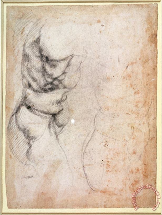 Michelangelo Buonarroti Study of Torso And Buttock Art Print