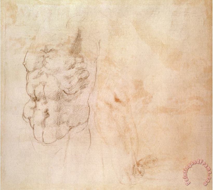 Michelangelo Buonarroti Torso Study Art Painting