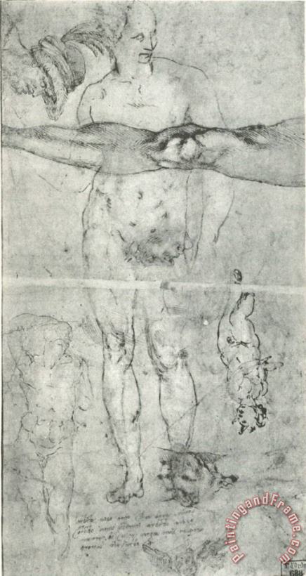 Michelangelo Buonarroti Various Studies Art Painting